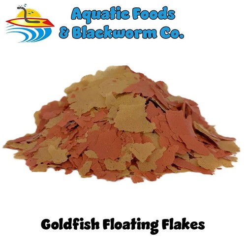 Goldfish koi pond fish - pond,